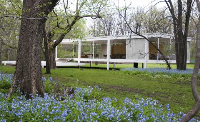 en etasjes glass sidet hus hevet fra bakken på brygger i landlige omgivelser midt i trær og blå blomster