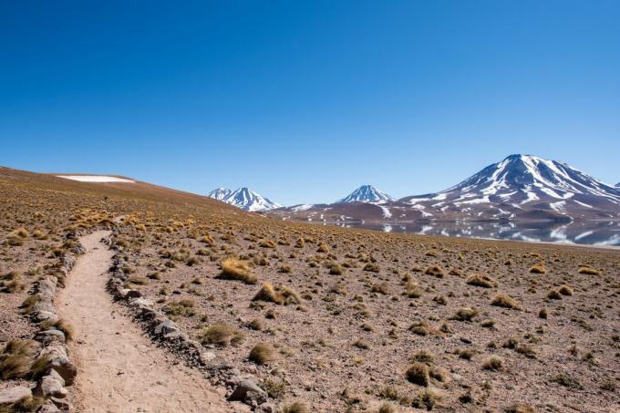 Inca-veien gjennom Atacama-ørkenen, Chile