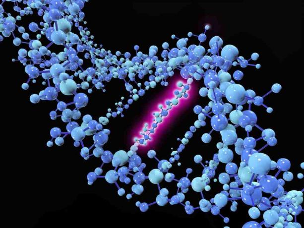 En punktmutasjon er en genetisk mutasjon der en enkelt nukleotidbase endres, settes inn eller slettes fra en sekvens av DNA eller RNA.