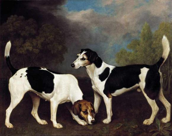 george stubber par revehunder