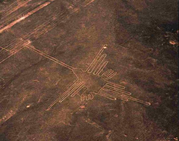 Aerial View of Hummingbird Geoglyph, Nazca Lines