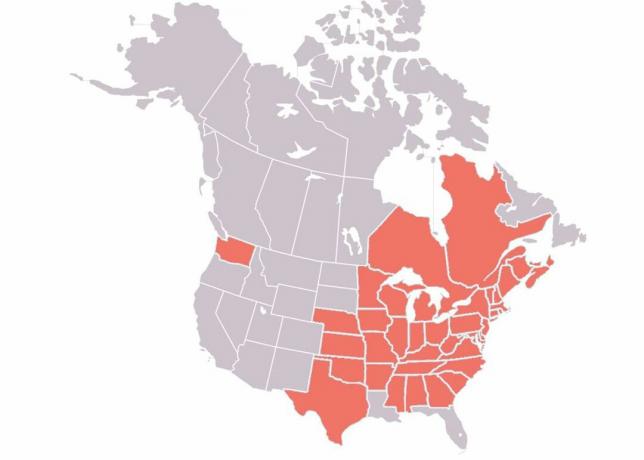 Distribusjon av hvitt nesesyndrom i Nord-Amerika i 2018.