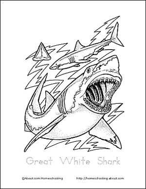 Shark Coloring Page