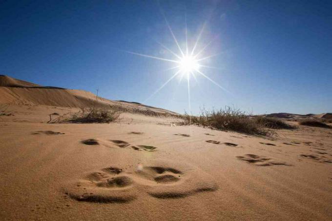 Sanddyner mot blå himmel og lys sol