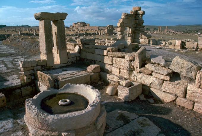 Roman Period Olive Press