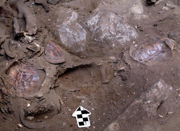 Israelske arkeologer oppdager She-Shaman begravelse