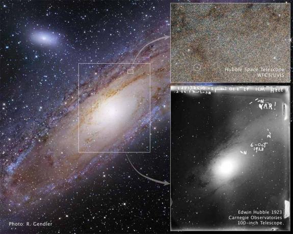 Cepheid-variabelen i Andromeda som Hubble observerte.