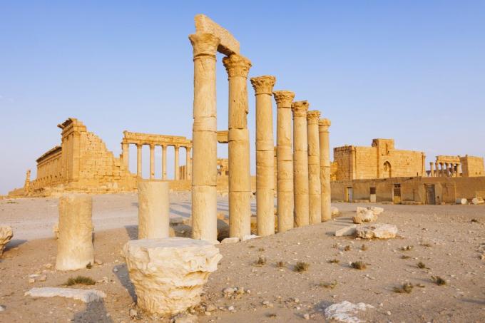 Palmyra, Great Colonnade og Temple of Bel