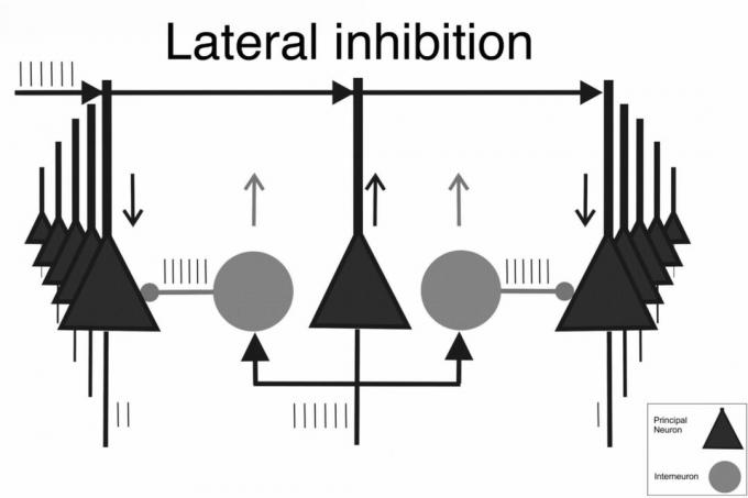 Lateral hemming