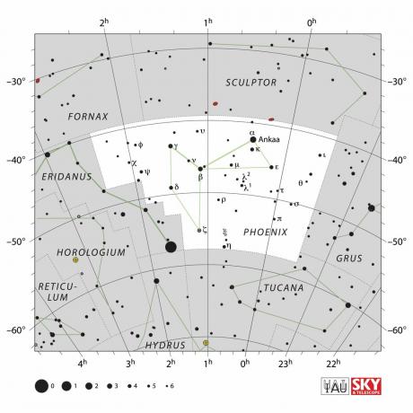 Constellation Phoenix-diagrammet