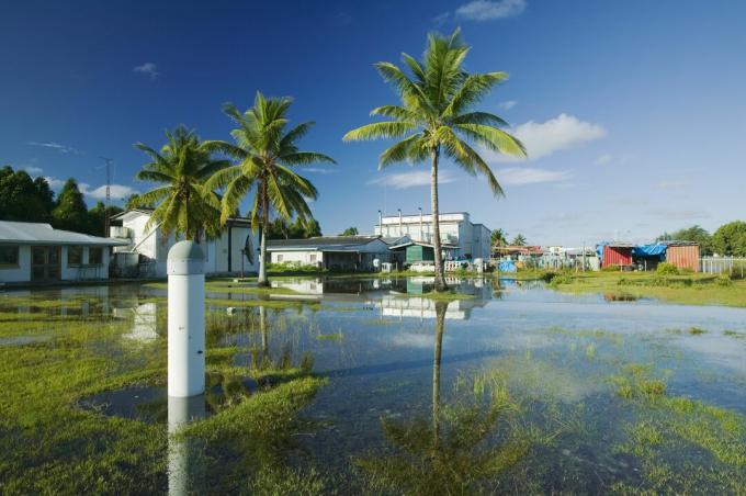 Tuvalu - Den druknende nasjonen