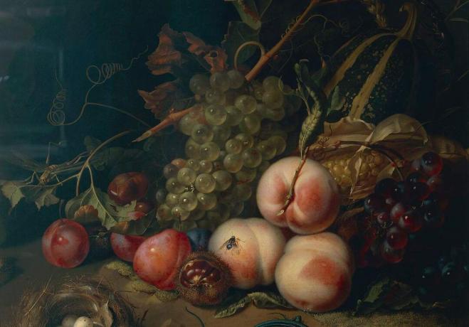 Comp Save to Board Italy, Florence, Still life with fruit and insects av Rachel Ruysch, 1711, olje på lerret, detalj