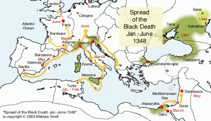 Spredning av svartedauden Jan.-juni 1348 En rask streik