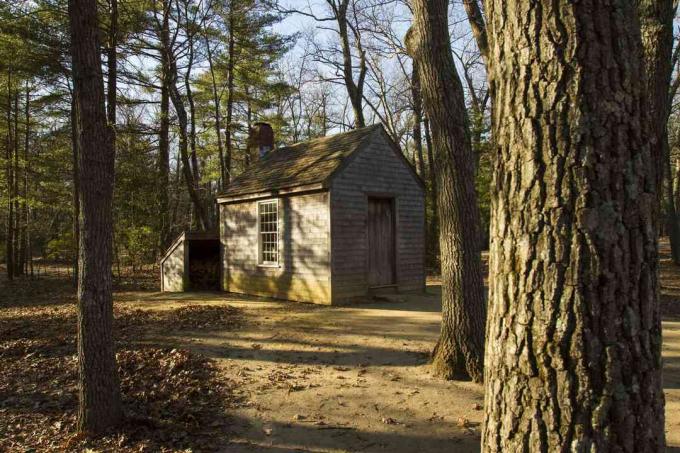 Thoreau's Cabin på Walden Pond