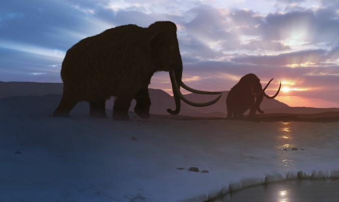 Kunstverk av Tundra Mammoth