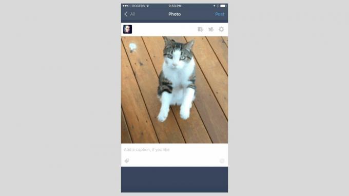 Et skjermbilde av Tumblr-appen for iOS.