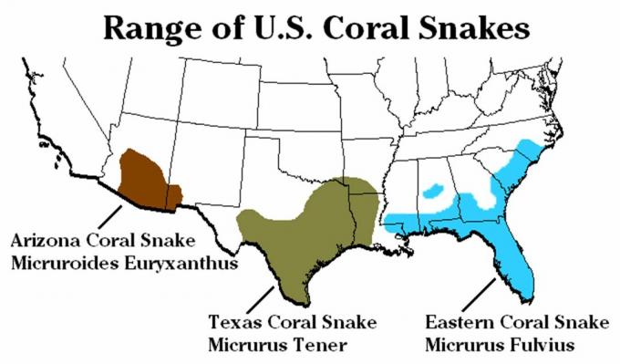 Korallslangearter og rekkevidde i USA