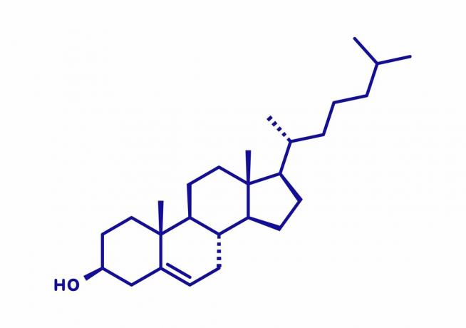 Kolesterolmolekyl