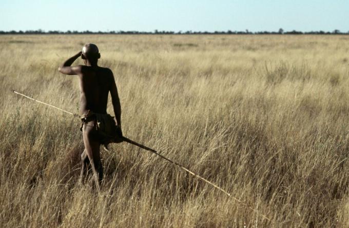 A G / wi Hunter Hunting Springhares