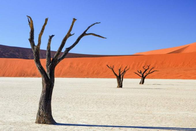 Dead Vlei Namib Desert