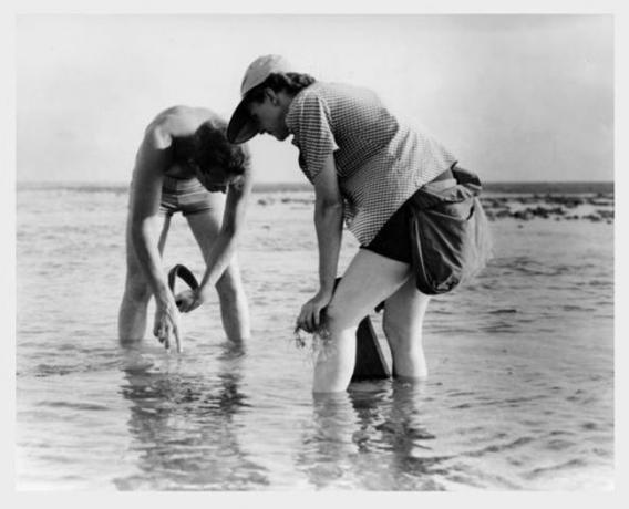 Rachel Carson og Bob Hines driver forskning innen marin biologi i Florida