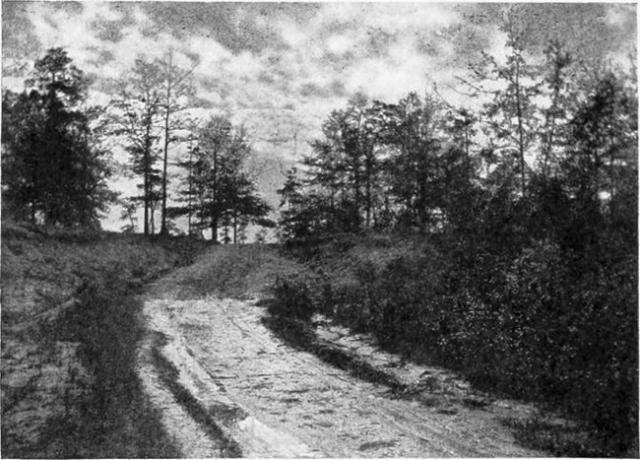 Stedet der Aaron Burr ble tatt til fange, nær Wakefield, Alabama.