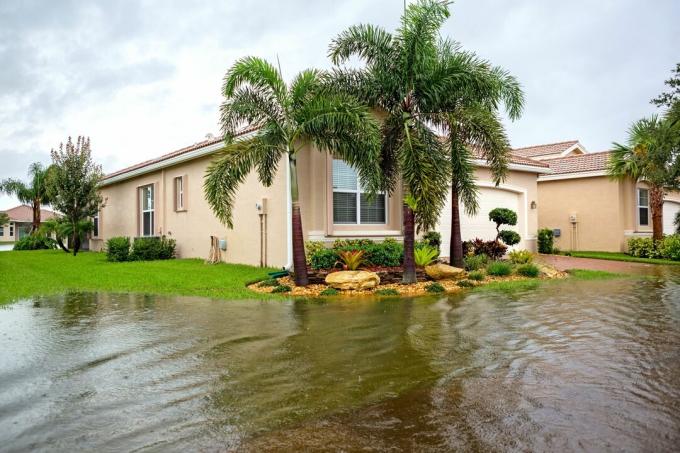 Forsikringskrav: Oversvømmelse fra en orkan