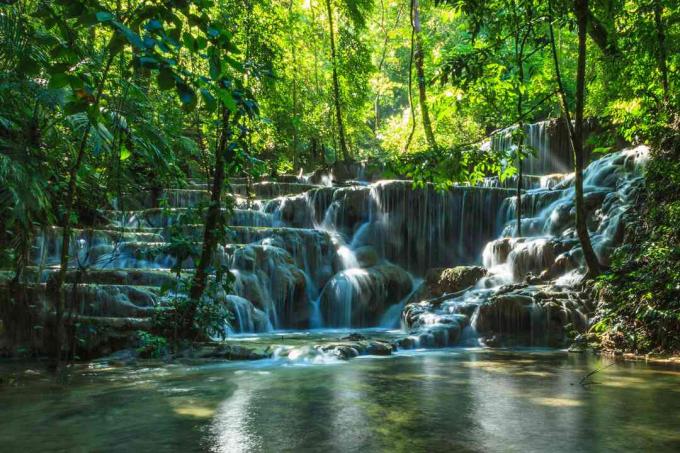 Naturlig foss og kaskader i nærheten av Palenque