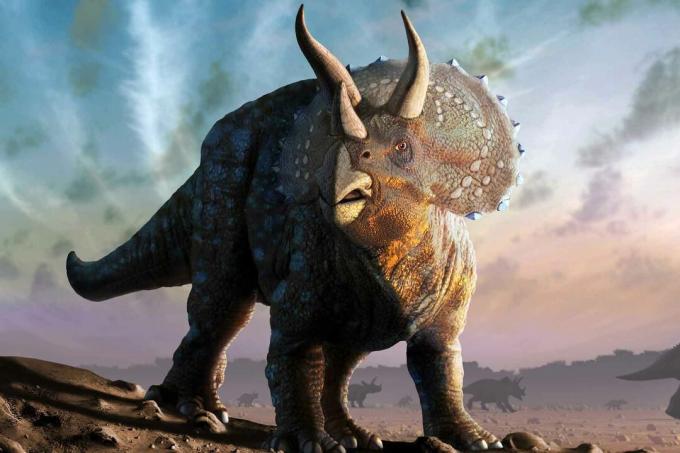 En dinicaur fra Triceratops.
