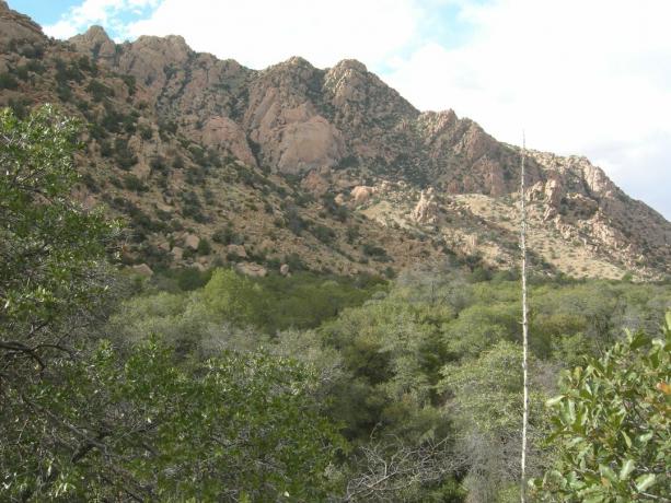 Cochises østlige høyborg, Dragoon Mountains, sørøstlige Arizona.