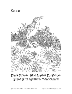 Kansas State Flower og State Bird Coloring Page