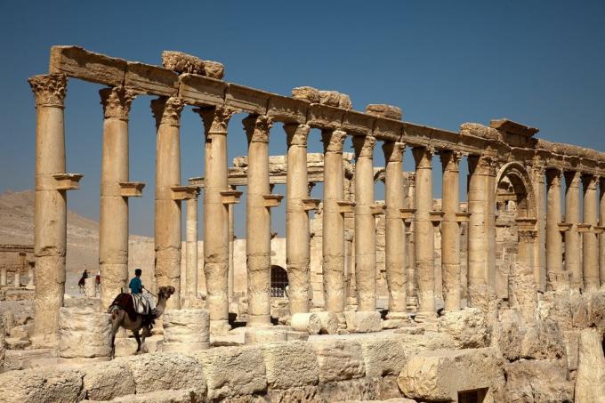 Stor kolonnade av Palmyra, Syria