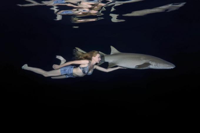 Dykkere er vanligvis trygge rundt sykepleierhaier og andre teppeshaier, men bitt oppstår når fisken blir forstyrret eller provosert.